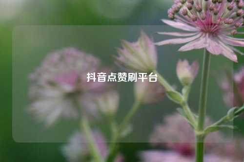 抖音点赞刷平台