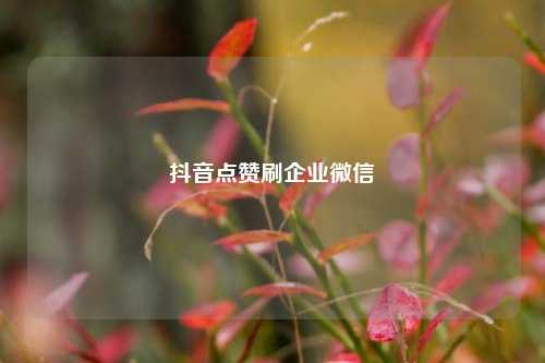 抖音点赞刷企业微信