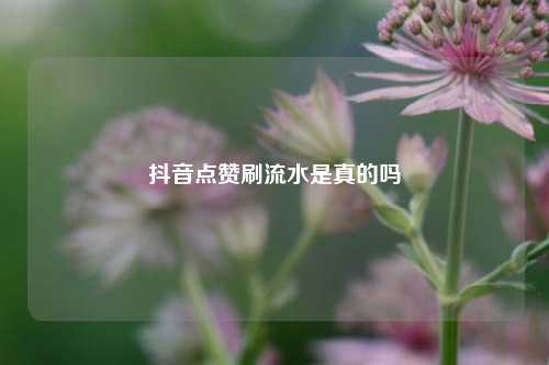 抖音点赞刷流水是真的吗