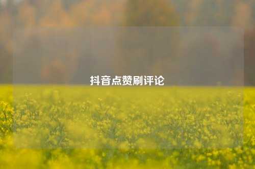 抖音点赞刷评论