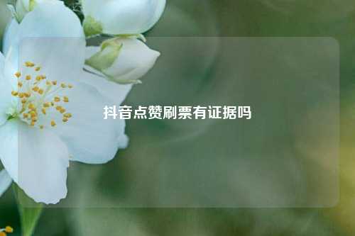抖音点赞刷票有证据吗