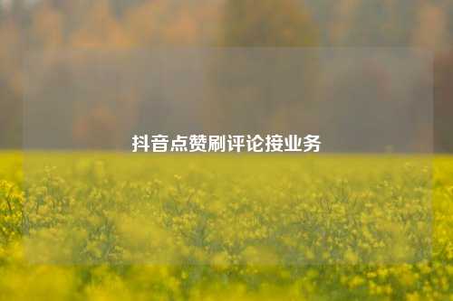 抖音点赞刷评论接业务
