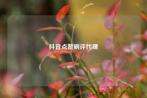 抖音点赞刷评代理